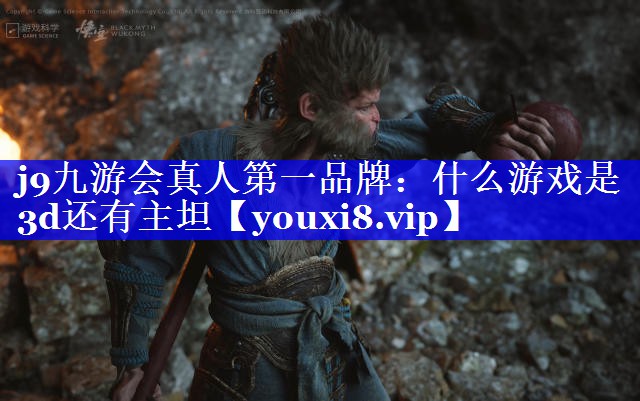 j9九游会真人第一品牌：什么游戏是3d还有主坦