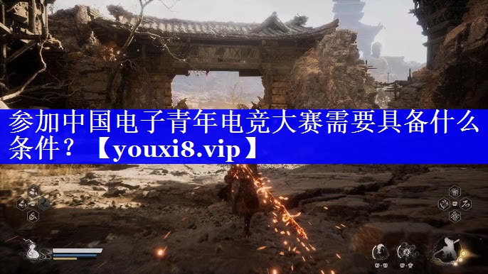 参加中国电子青年电竞大赛需要具备什么条件？
