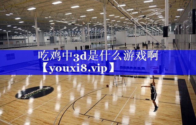 吃鸡中3d是什么游戏啊