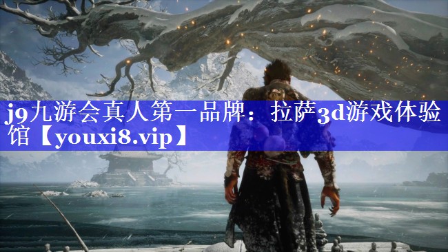 拉萨3d游戏体验馆