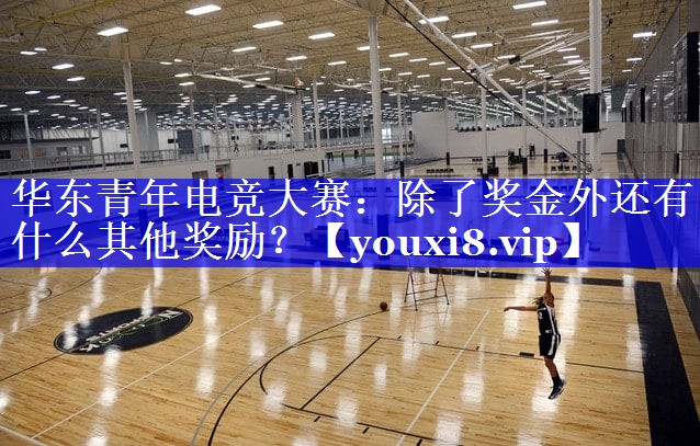 华东青年电竞大赛：除了奖金外还有什么其他奖励？